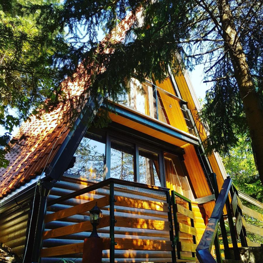 Little paradise house - Bed and Breakfast