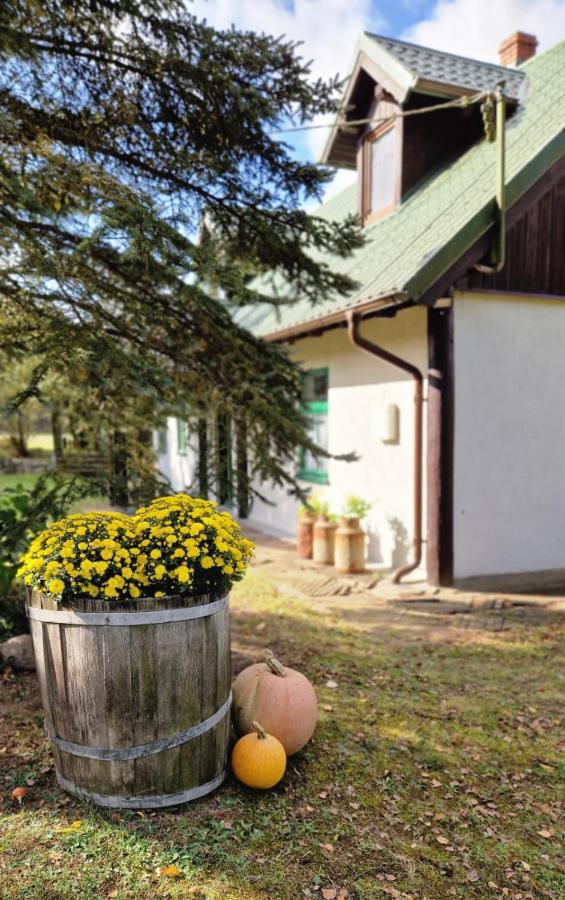 Kłodnia 1 - B&B