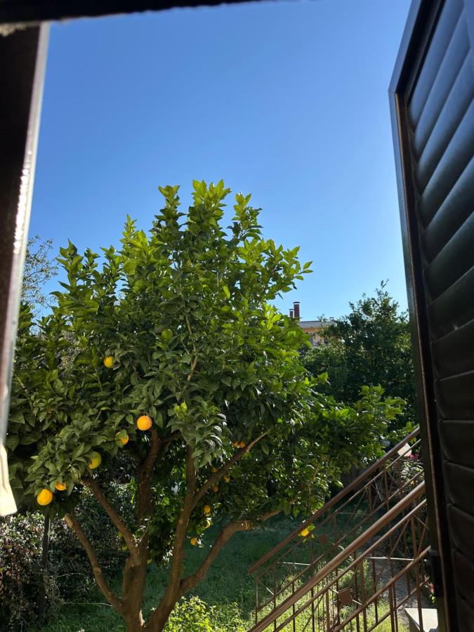 RMG Home - B&B Fisciano