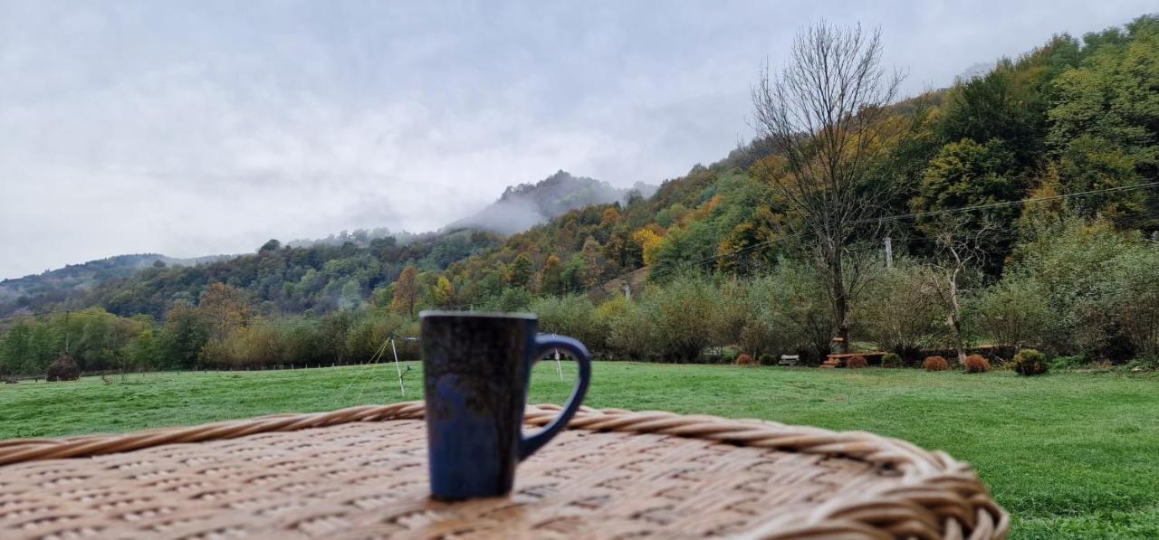 LaShura - Bed and Breakfast Buceş