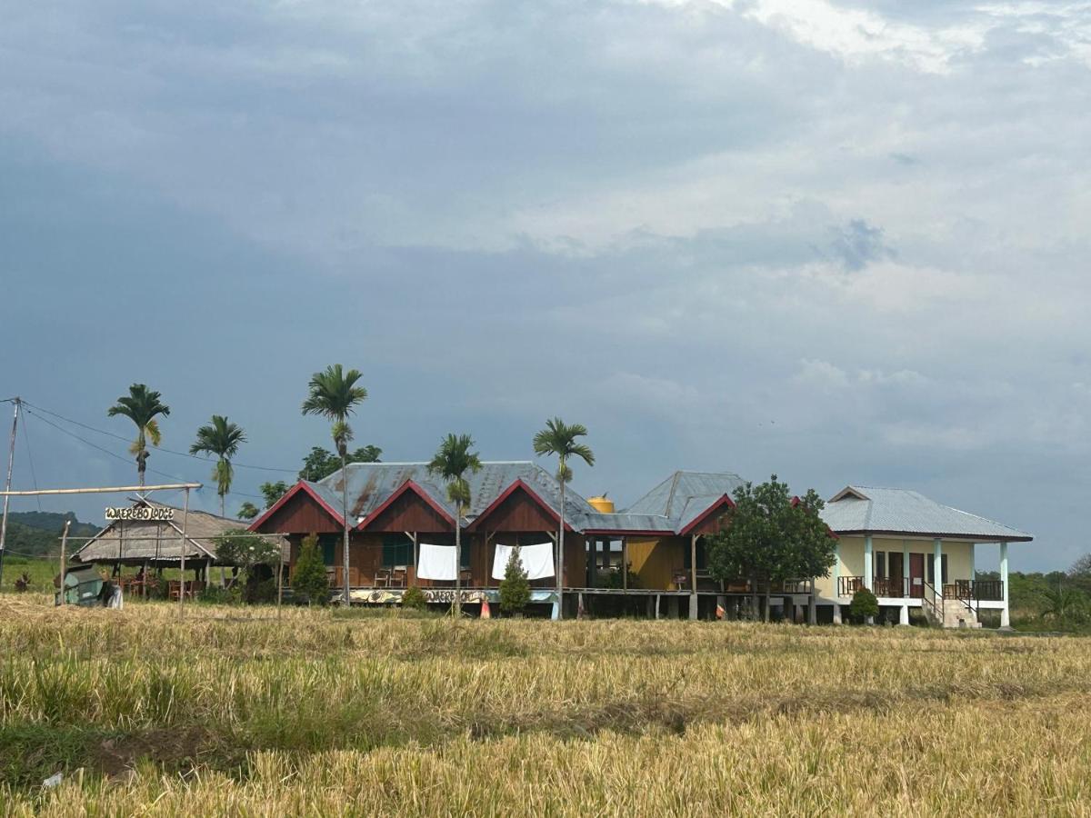 Wae Rebo Lodge Dintor - Ferienwohnung Ntaur