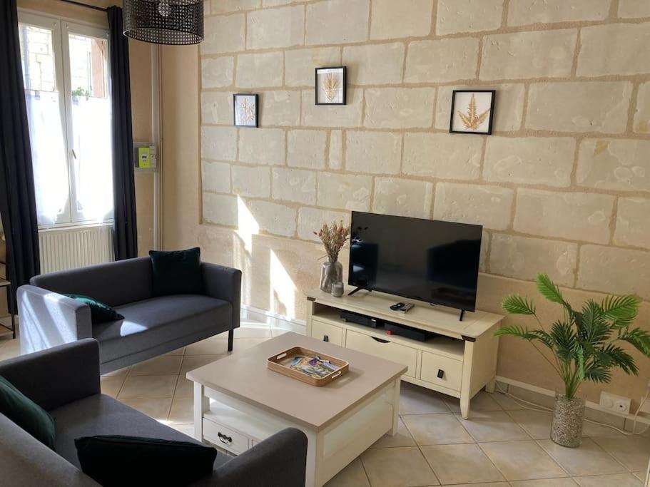 Le logis des diligences - Vue sur le château - Ferienwohnung Montsoreau