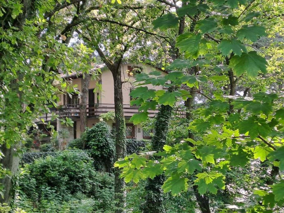 LA BARCA NEL FRUTTETO Natura e relax in collina - Ferienwohnung Lagune