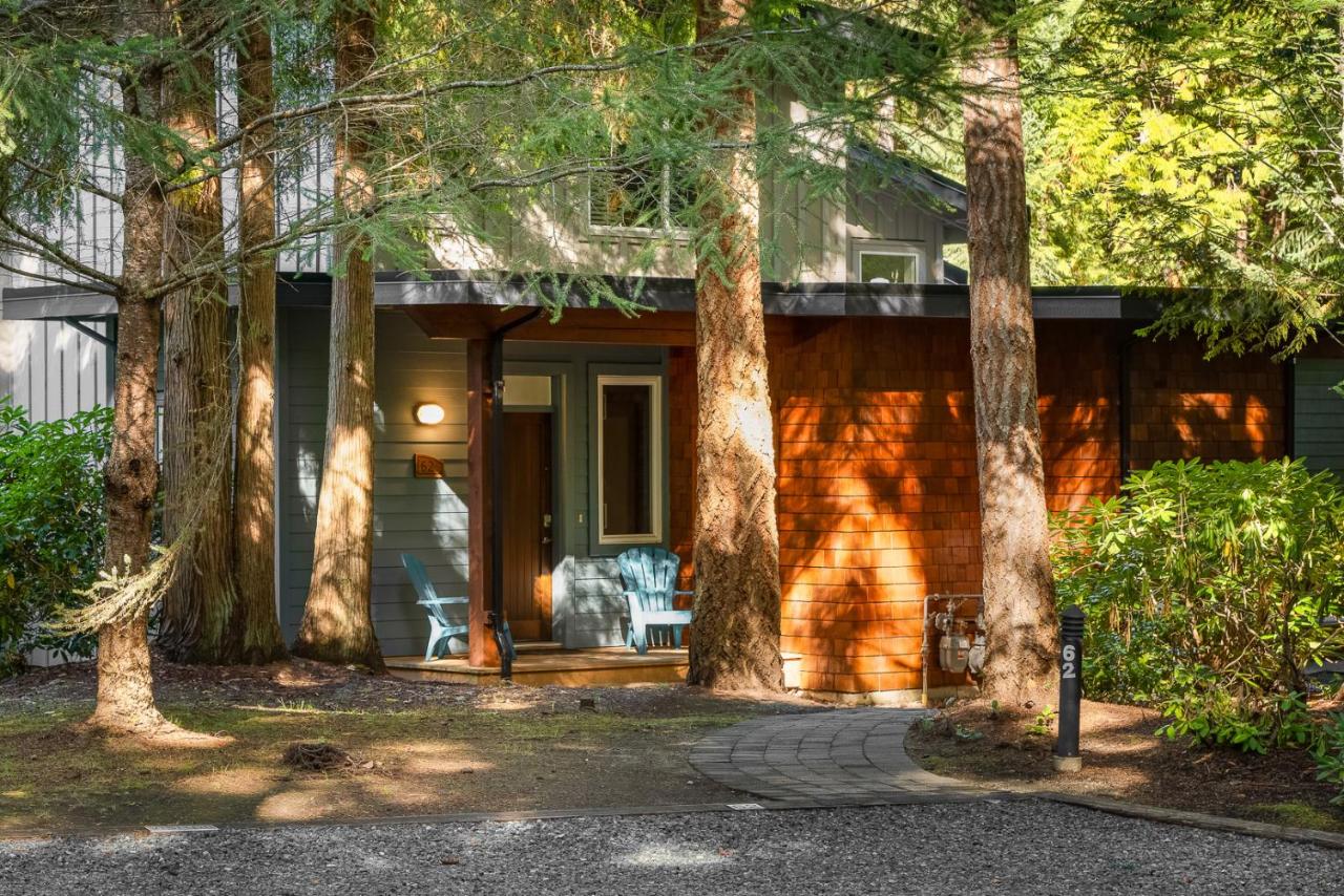 Pacific Forest Beach House - B&B