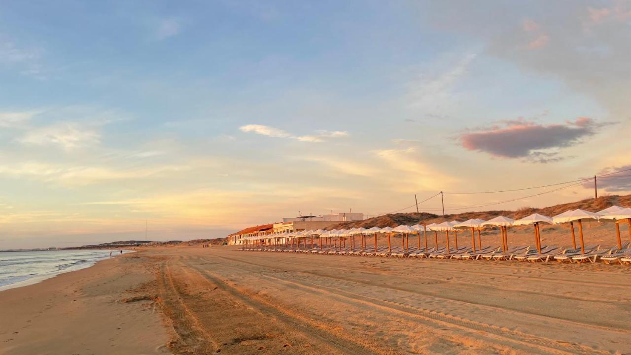 Acogedor estudio La Marina - B&B Oasis (La Marina)