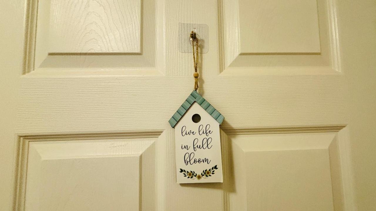 Cozy Walkout Basement with Tranquility - B&B Toronto