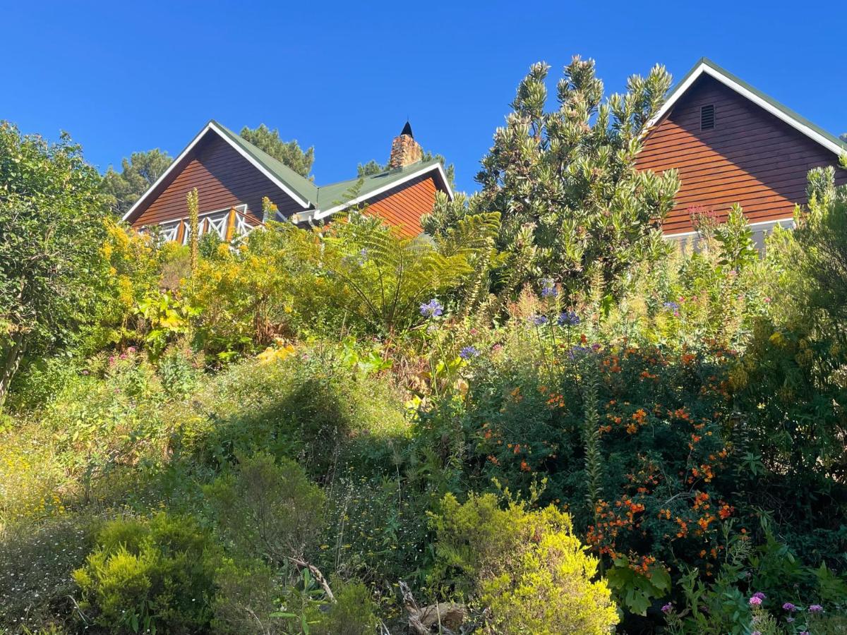 Ixia studio-Serene, solar, pet friendly, garden and valley views - B&B