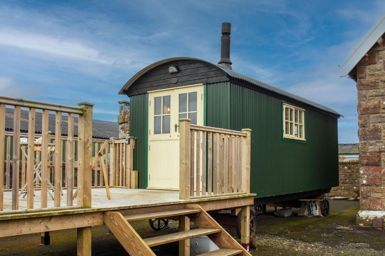 Shepherds Hut at Maes Uldale - B&B