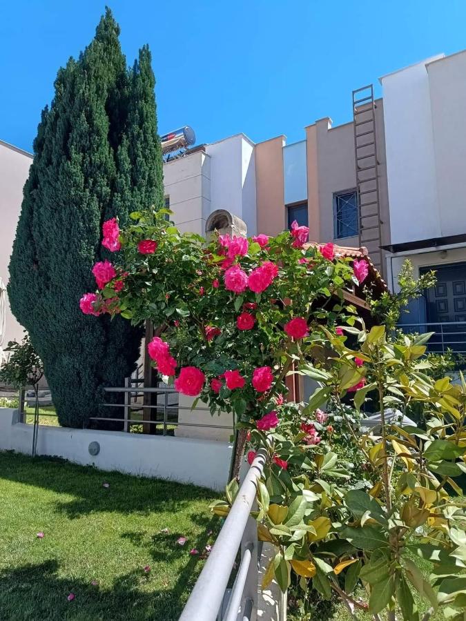 "Sea breeze and olives" apartment - Chambres d’hôtes Karianí