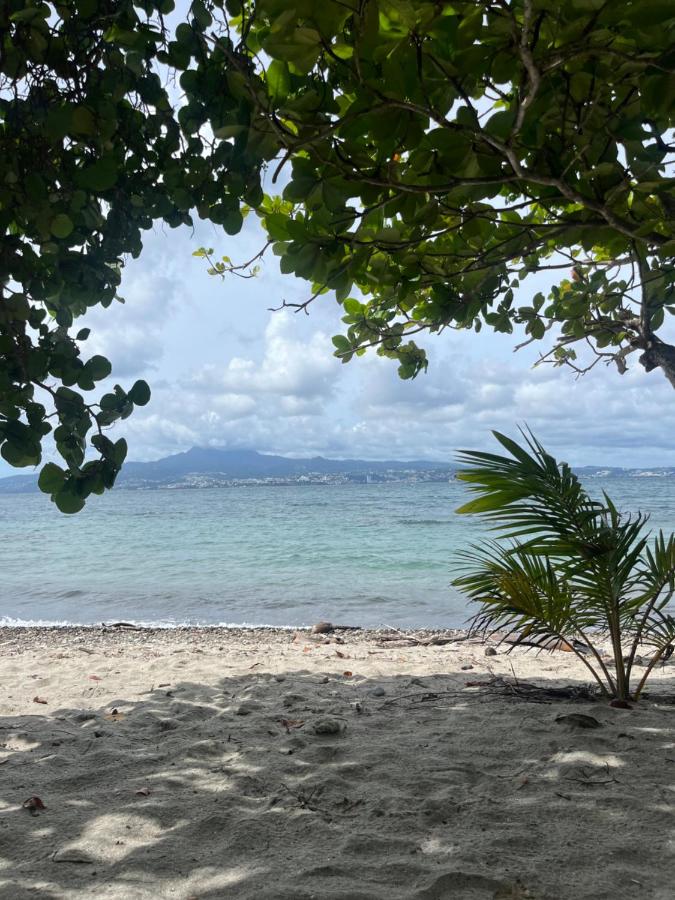 Au Roseau des Indes Appt avec piscine jardin et Fibre - B&B Les Trois-Îlets