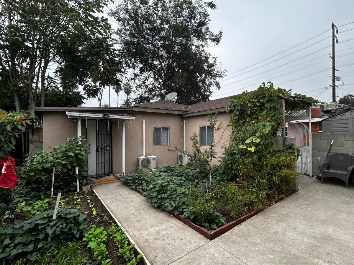 garden with Iron Gate, East Los Angeles - B&B