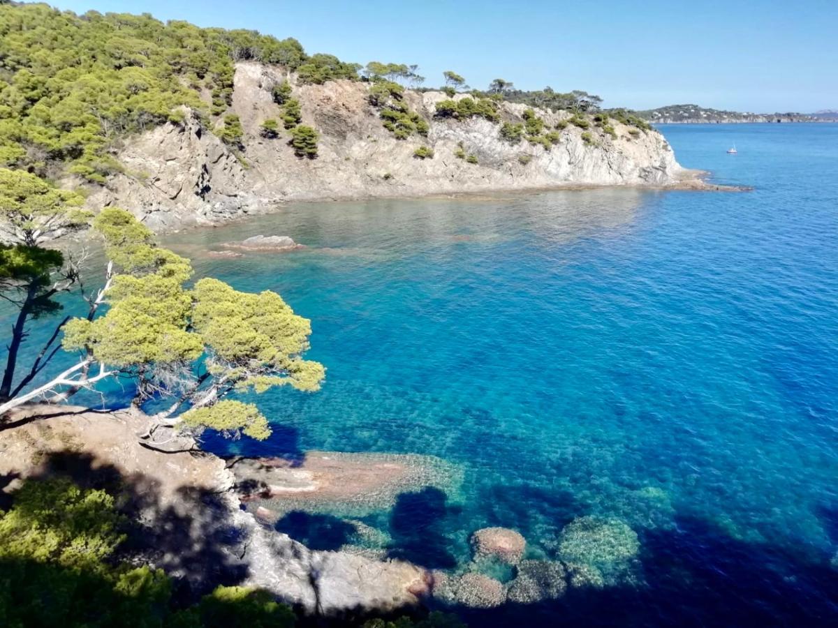 Appartement cosy vue mer à 50 m de la plage - refait à neuf et climatisé - Ferienwohnung
