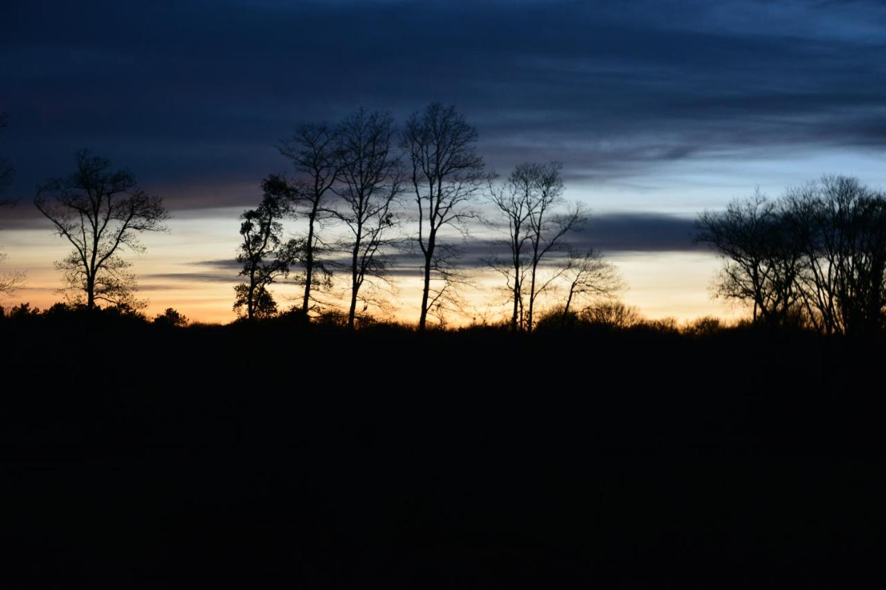 Double Room - Disability Access