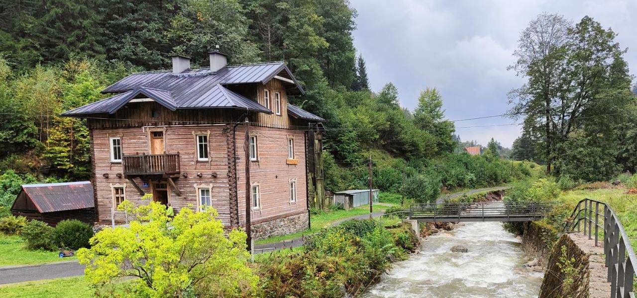 Apartament Śnieżny Międzygórze - B&B