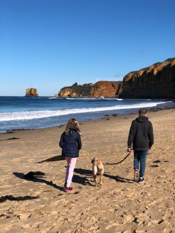 Aireys Bush Sanctuary - B&B Fairhaven