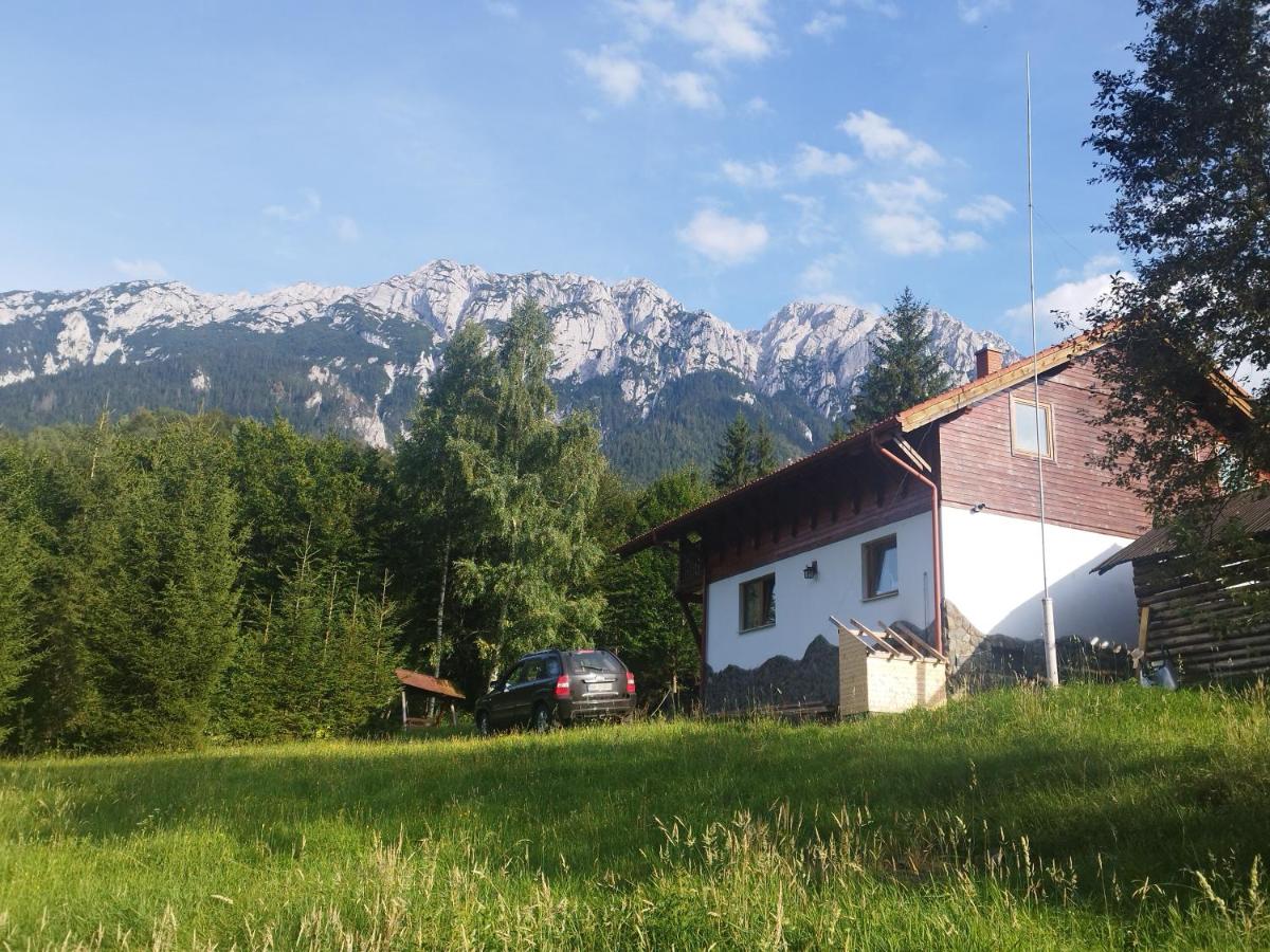 Cottage Piatra Craiului - B&B Zărneşti