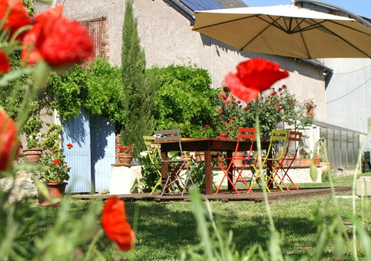 Chambre d'hôtes Au bout de l'île - La toue sablière - B&B