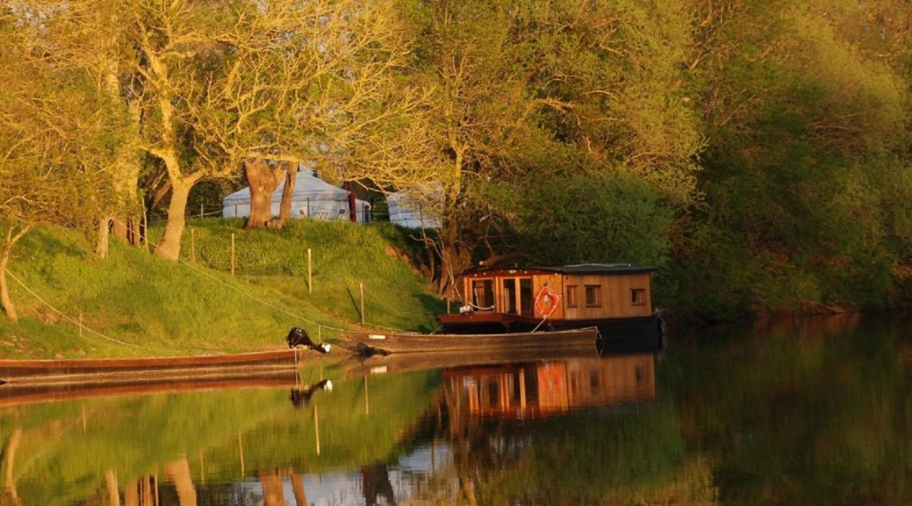 Chambre d'hôtes Au bout de l'île - La toue sablière - B&B Montjean-sur-Loire