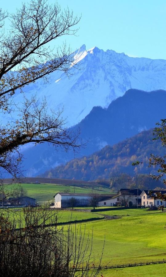 Maison au pied des Pyrénées - B&B