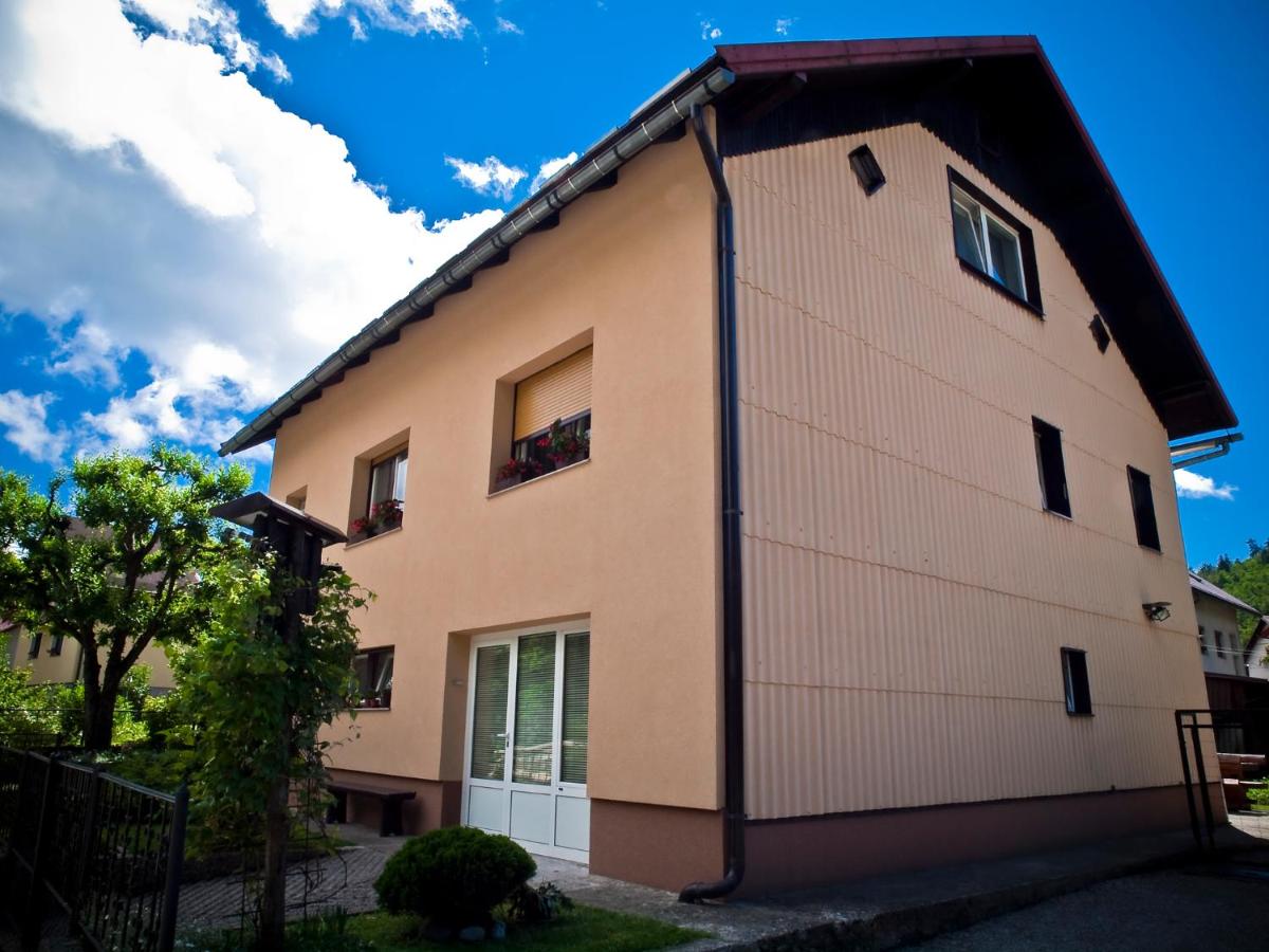 Apartments Gale - B&B Delnice