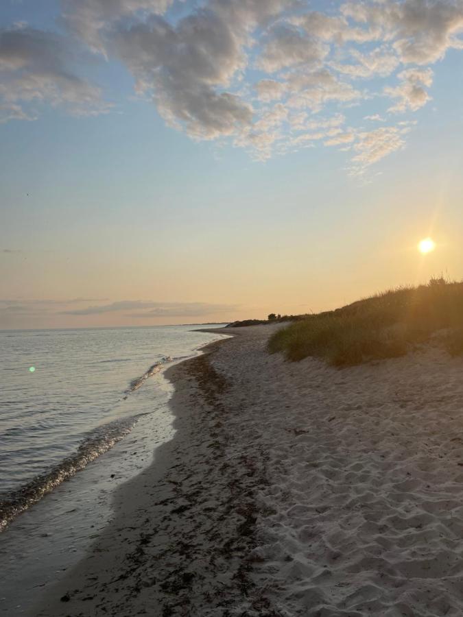 Gästhus i Ljunghusen nära strand & golf uthyres - B&B