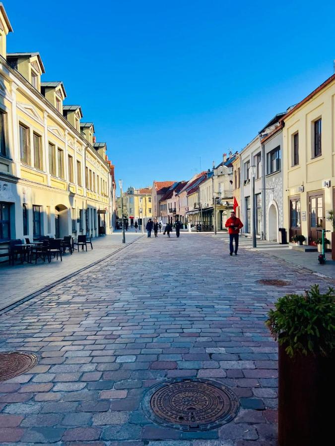 Newly Renovated 1BR in Kaunas Downtown Central Location Fast WiFi - Bed and Breakfast