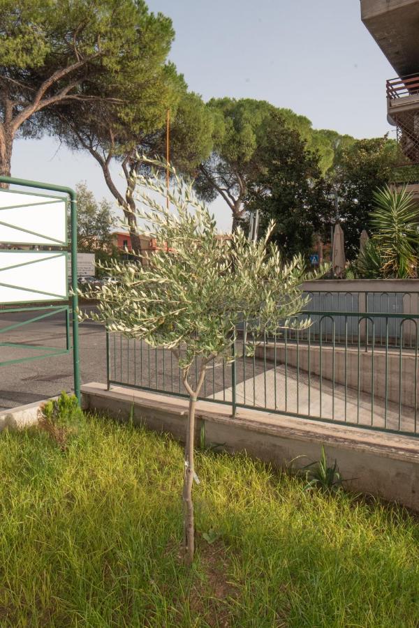 Fele's house - B&B Guidonia