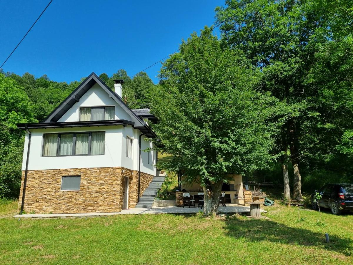 Villa Anja - Ferienwohnung Pirot