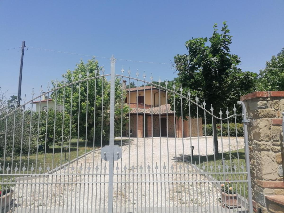 Il boschetto da Michael -nocciolo - Ferienwohnung Badia al Pino