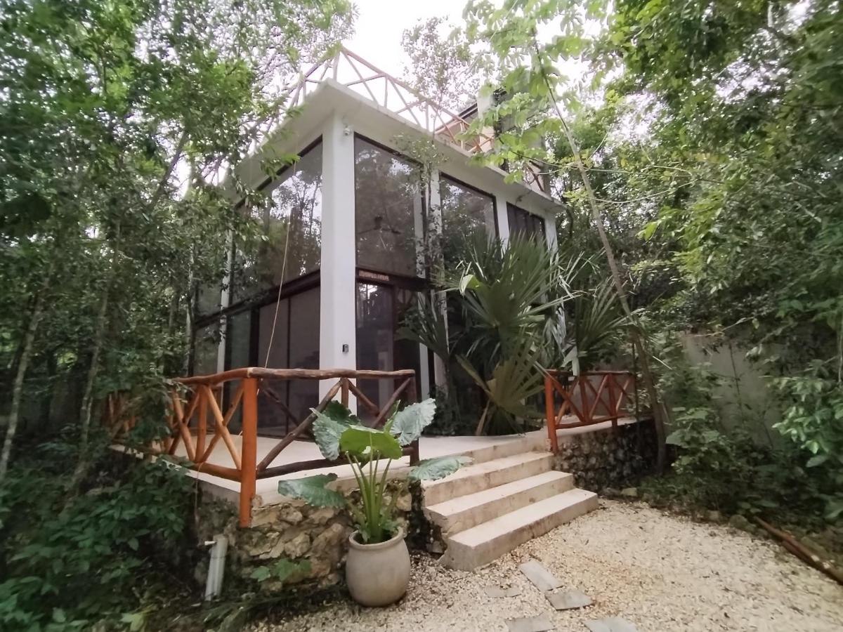 Saasil Kaax - B&B Ciudad Chemuyil