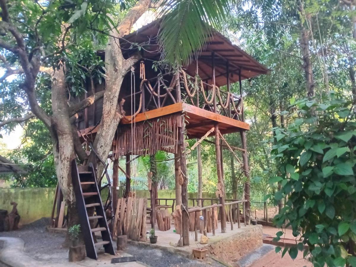 Green Park Safari House & Eco Tree House - B&B