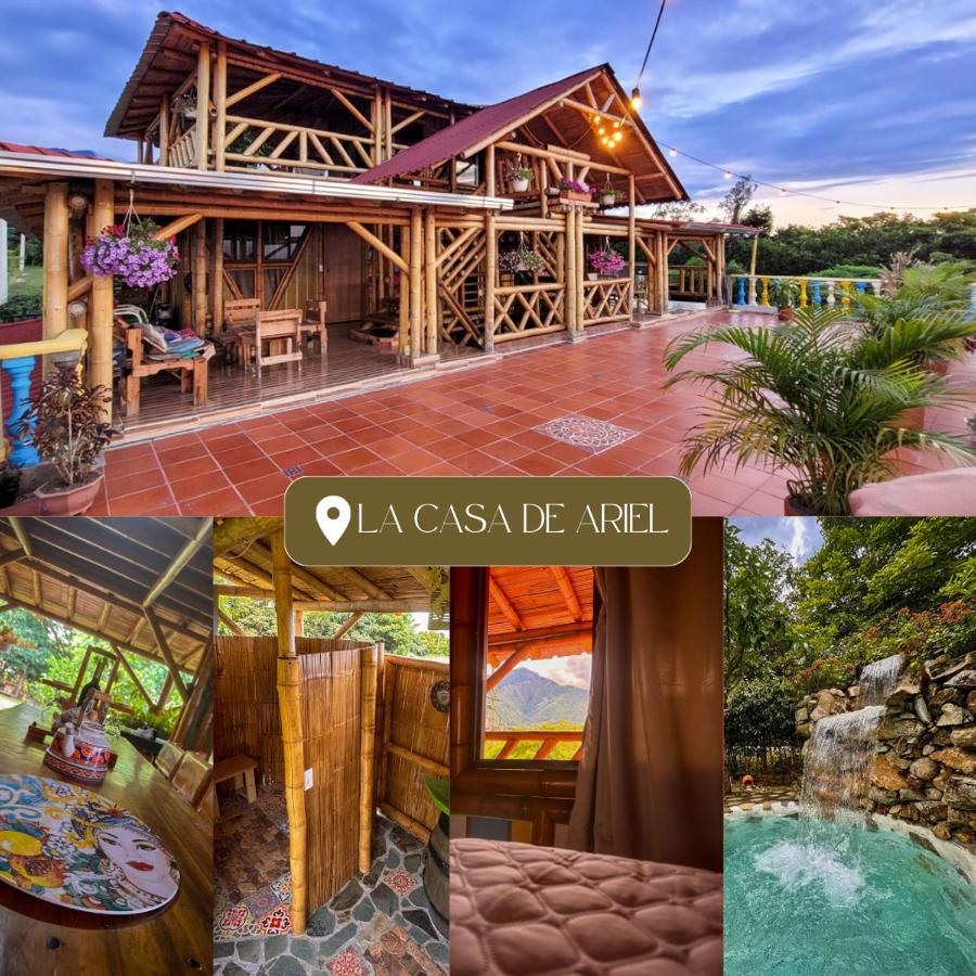 La Casa de Ariel, La Ulloa - B&B