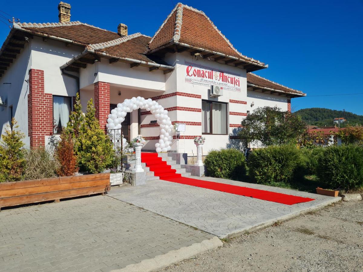 Conacul Ancuței - Chambres d’hôtes Brad