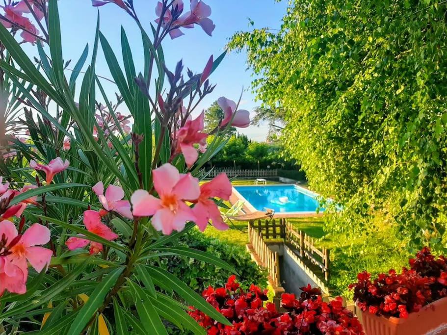Ca' San Lorenzo - Villa panoramica con piscina - Vignale Monferrato - Chambres d'hôtes San Lorenzo