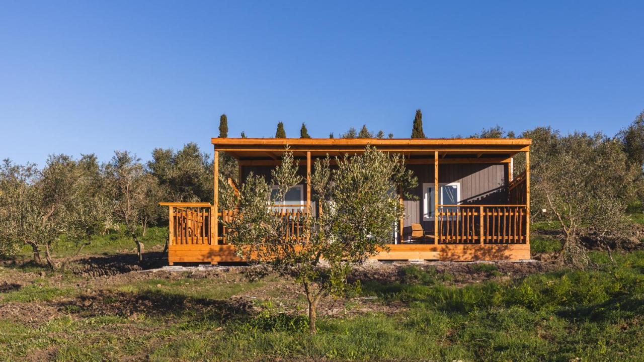 Mobile Home
