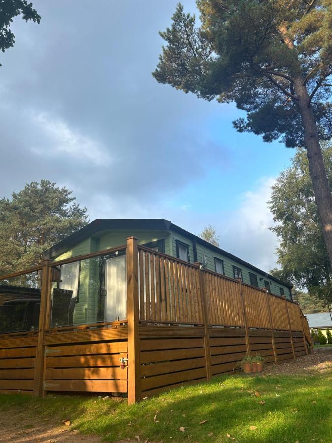 Lazy Bear Lodge - B&B
