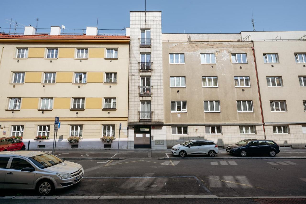 Suite Apartment