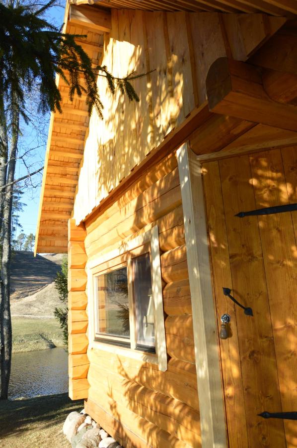 Ansomäe Puhkeala Järvemaja - Ferienwohnung Odenpäh