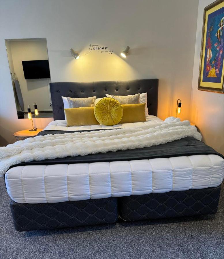 Studio met Queensize Bed
