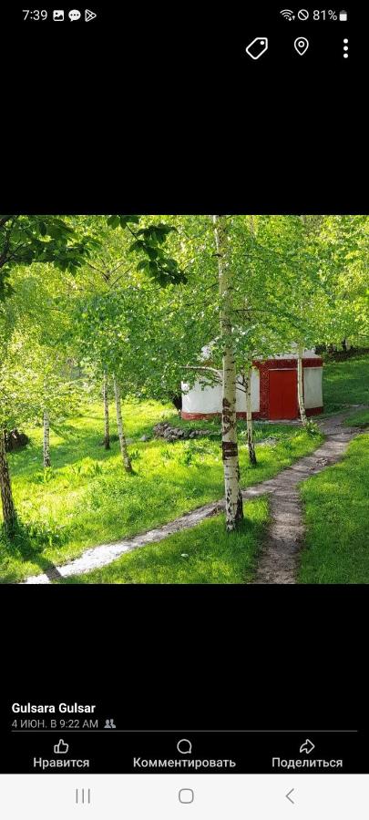Zweibettzimmer mit Dusche