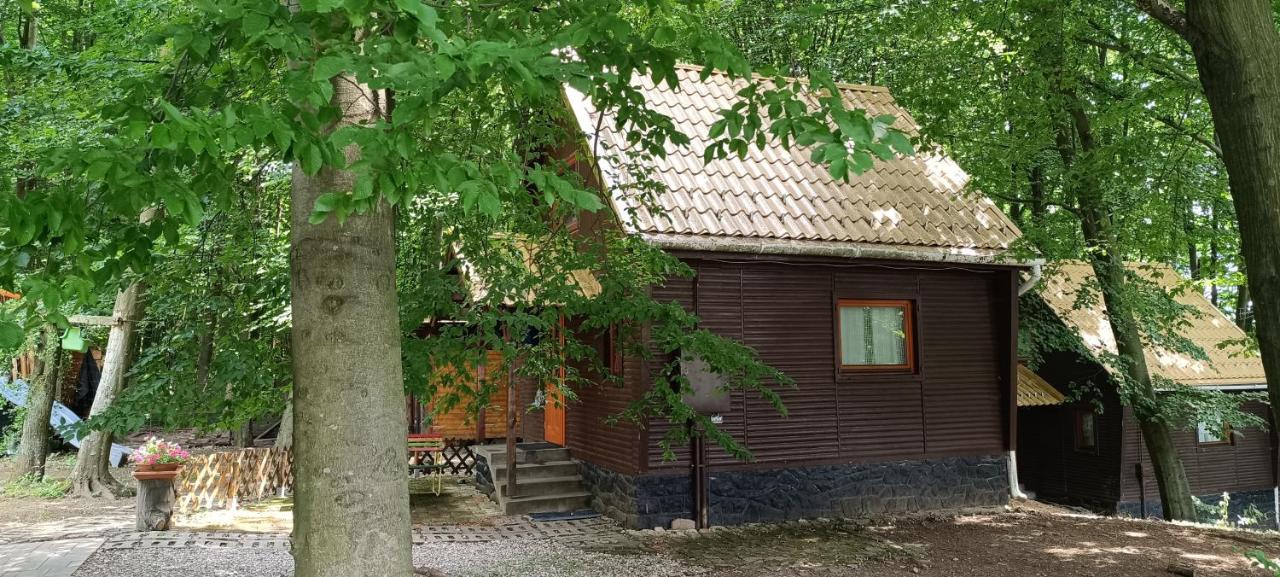 Darázshegyi Panzió és Faházak - Faházak - B&B Mátraszentimre