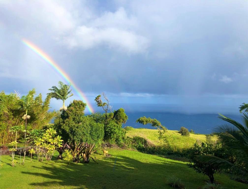 Waipio Ocean View Oasis - B&B