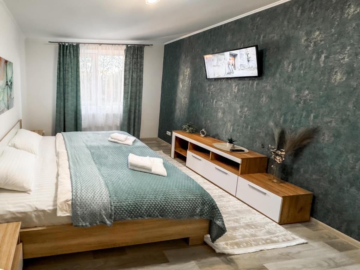 Deluxe One-Bedroom Apartment