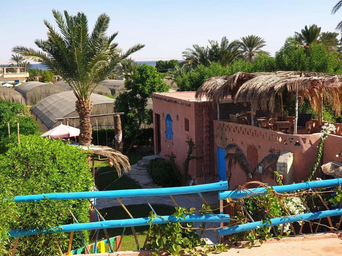 Tunis Camp - B&B Tūnis