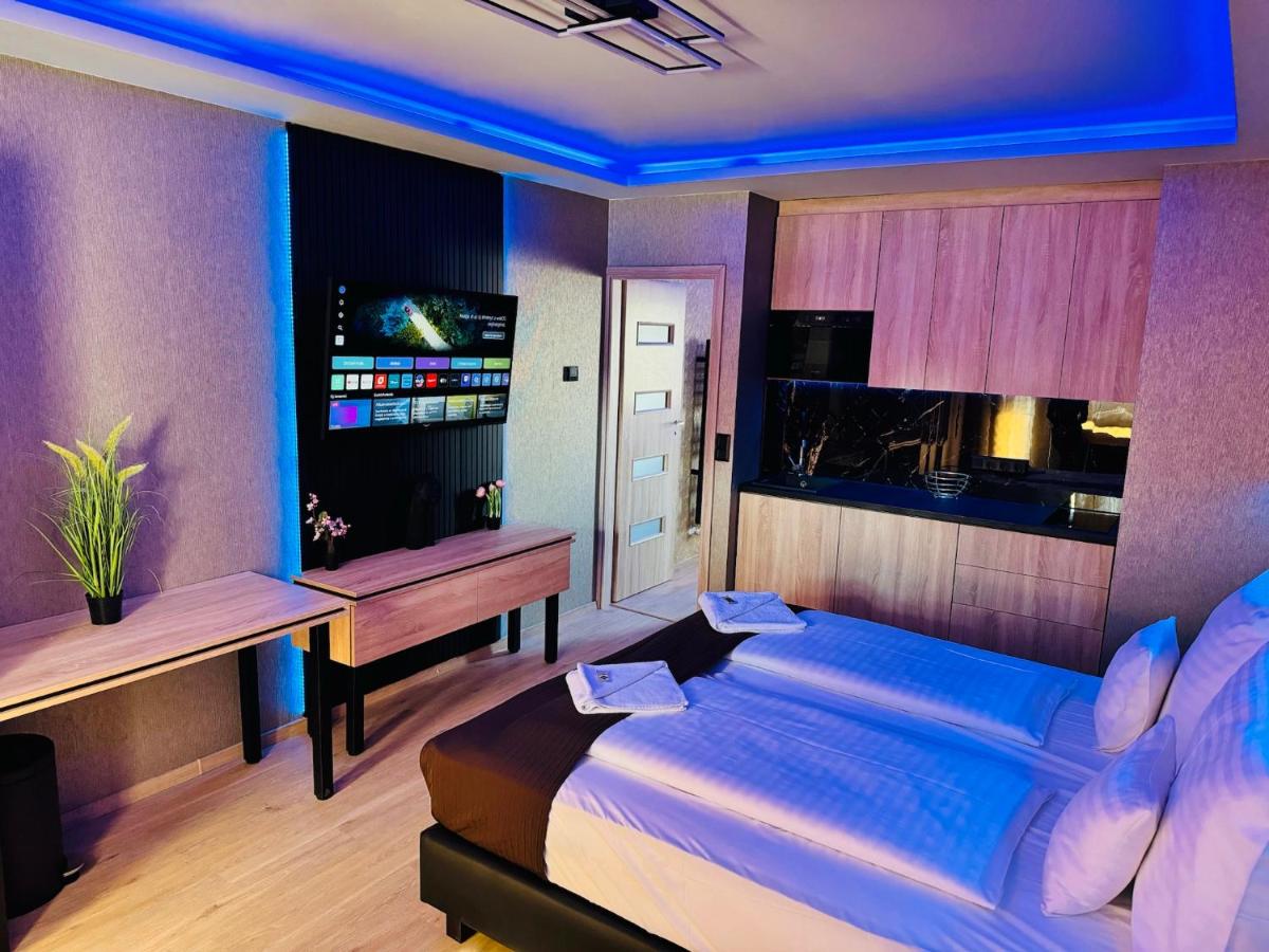 Appartamento Loft con 1 Camera da Letto e Balcone
