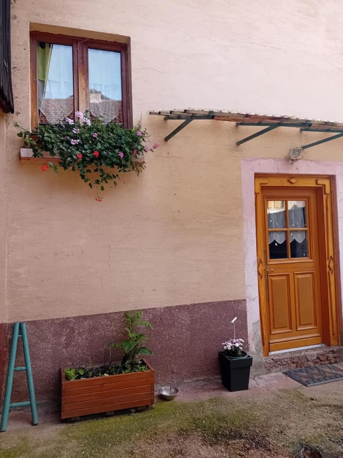 appartement spacieux dans joli village alsacien - B&B Châtenois