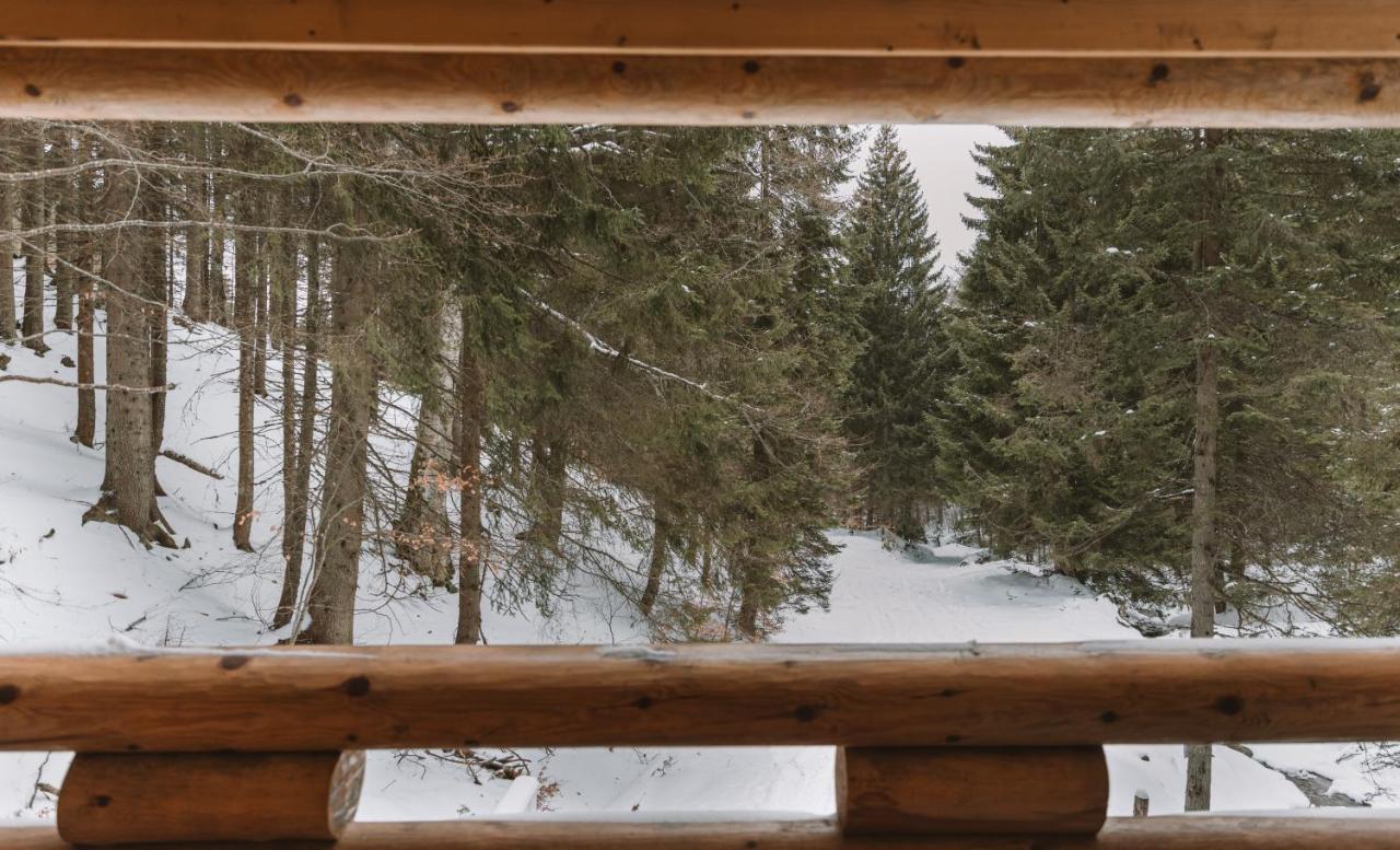 Casa Montana - Ferienwohnung Kopaonik