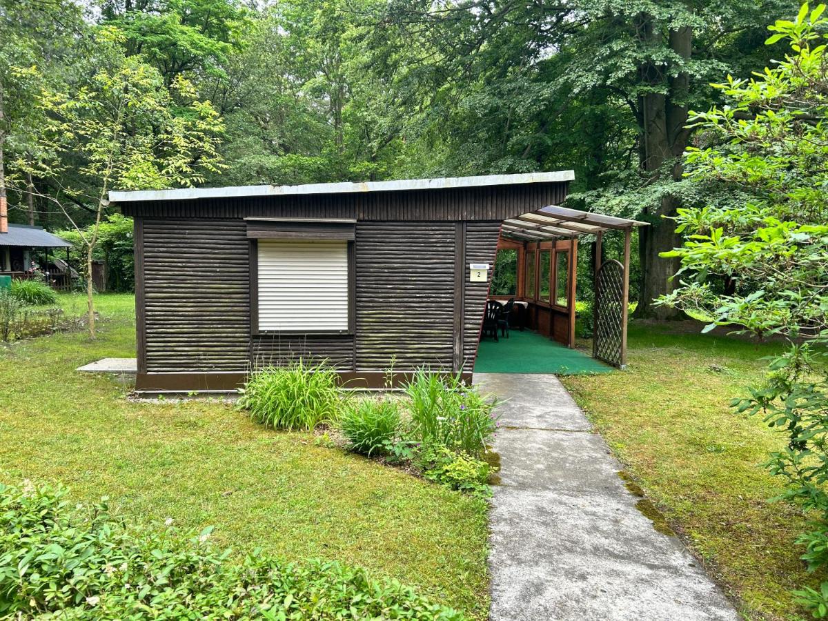 Blütenhaus im Rhododendronpark 5 min zum See - Chambres d’hôtes Kromlau