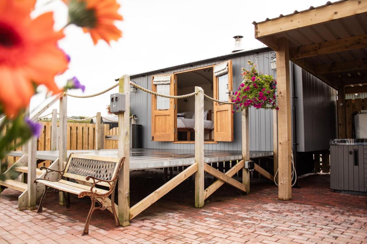 Rose - B&B