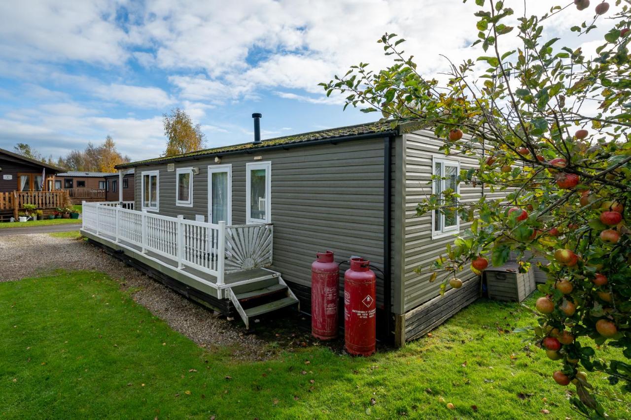 Charming 3-Bedroom Lodge Getaway - Ferienwohnung